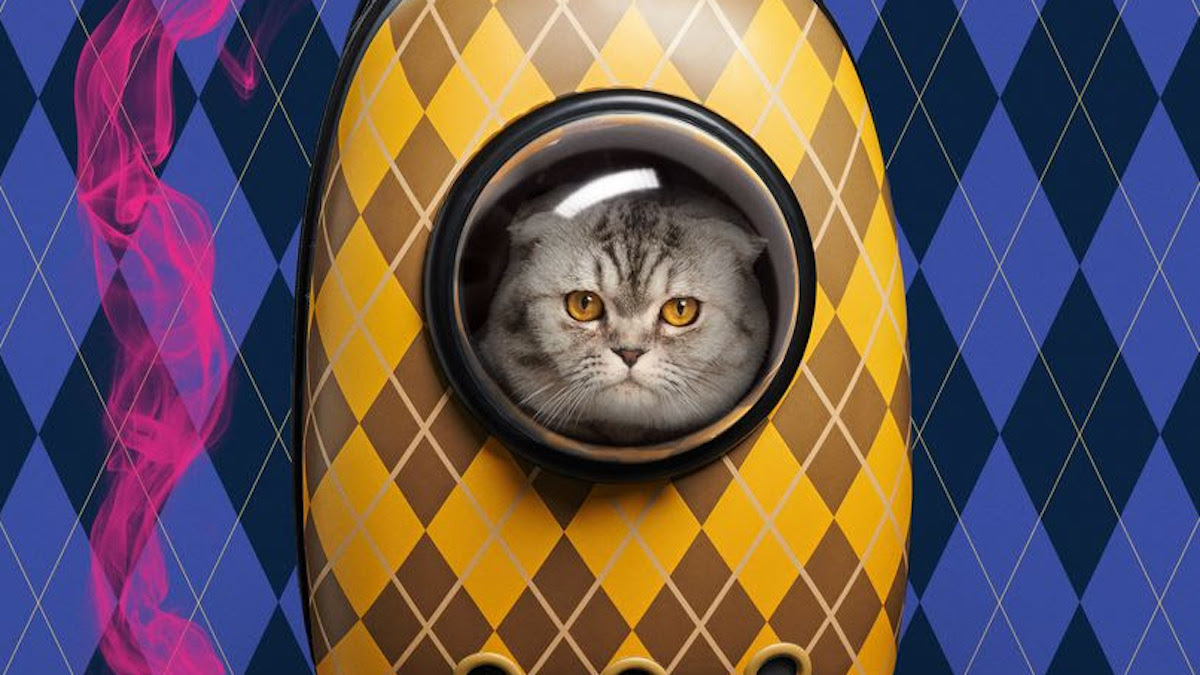 Best-seller, viaggi per il mondo e gatti: il trailer del nuovo spy movie diretto da Matthew Vaughn