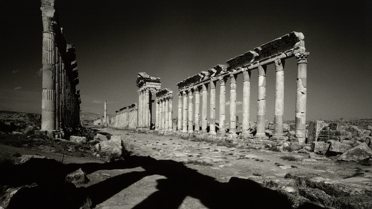 The avenue, Apamea, Syria | Il viale, Apamea, Siria, c.2006-2009